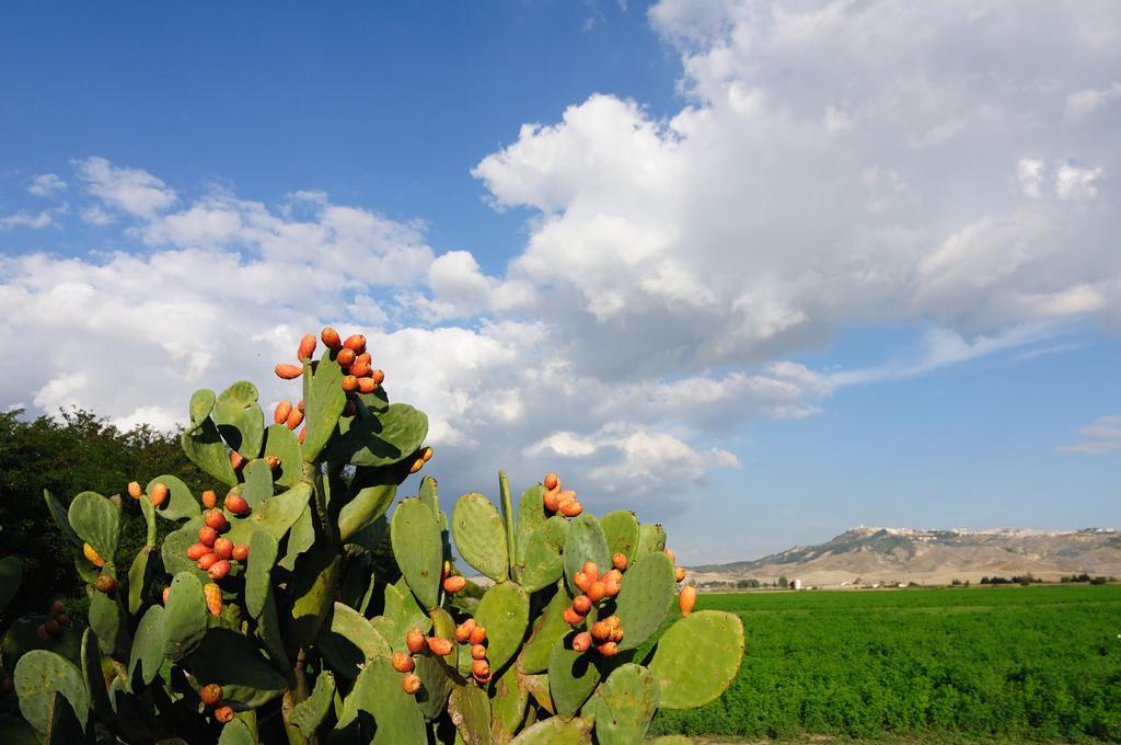 L'Orto Di Lucania Montescaglioso Phòng bức ảnh